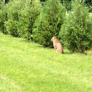 Meet your Posher, Cindy
